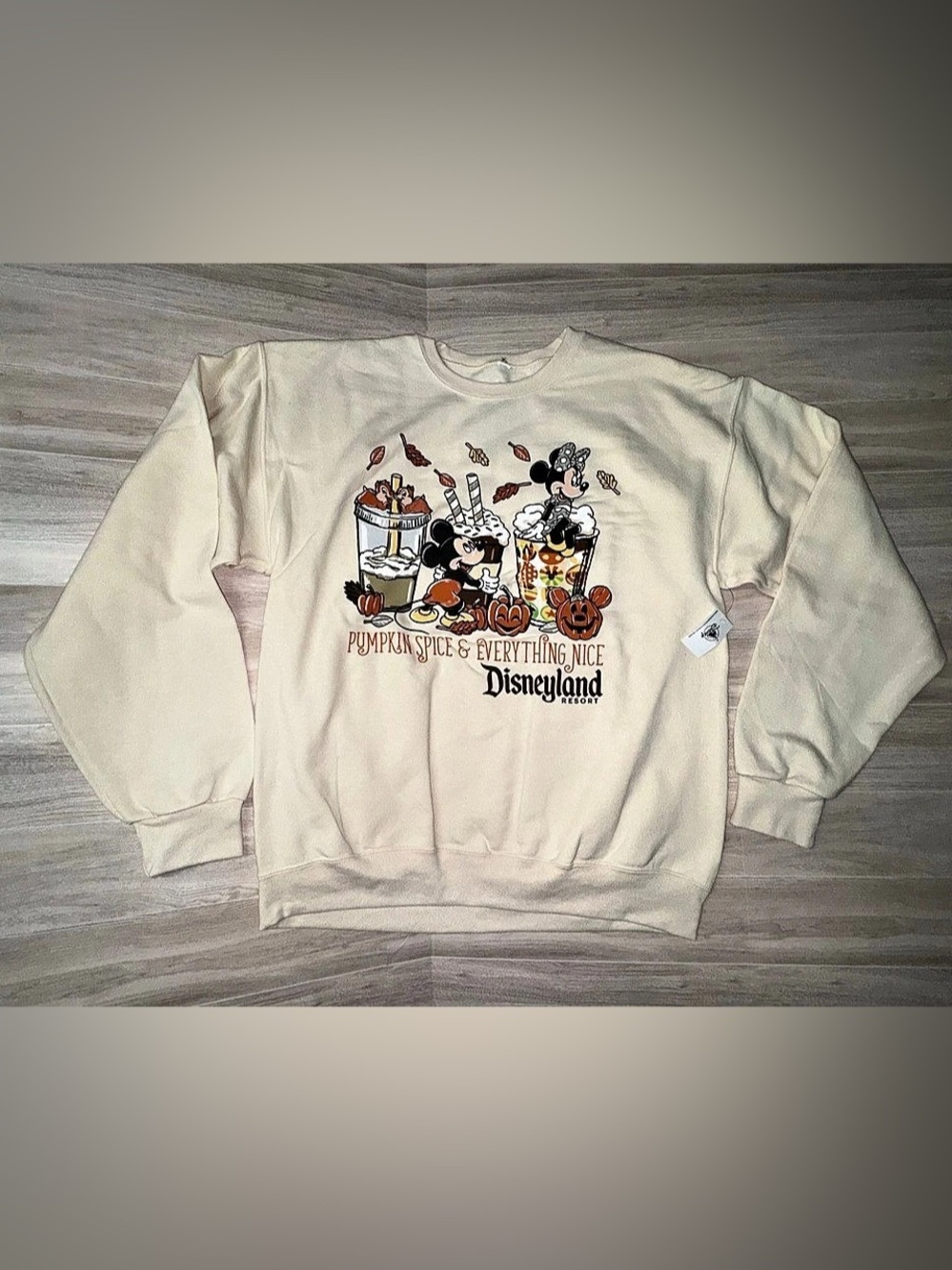 Disneyland Resort Pumpkin Spice & Everything Nice Disneyland Resort sweatshirt